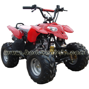 50cc ATV, Quad-Bike 50ccm, 70CC ATV, 90CC ATV 110CC ATV (MC-307)